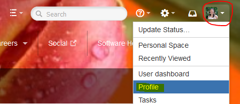 weCollaborate learning resources > Adding and Editing your profile picture > image2016-12-7 16:49:46.png